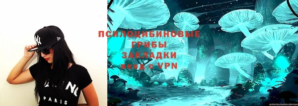 дживик Абаза