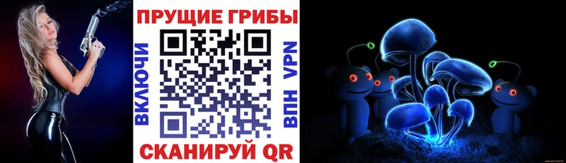 Псилоцибиновые грибы ЛСД  гидра ONION  Полтавская  купить  